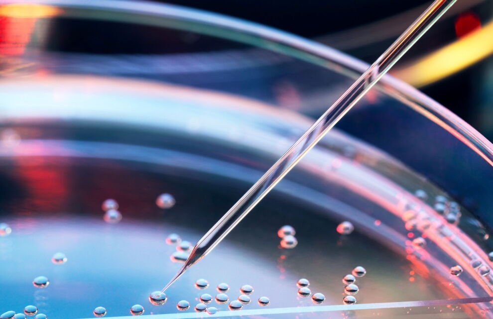 wholistic zone elevates private label supplement manufacturing 1 i2191