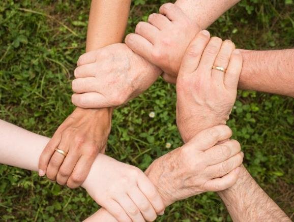 why trust matters more than ever in your wellness journey