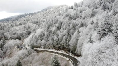 family winter magic