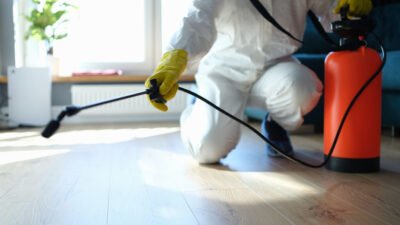pest control