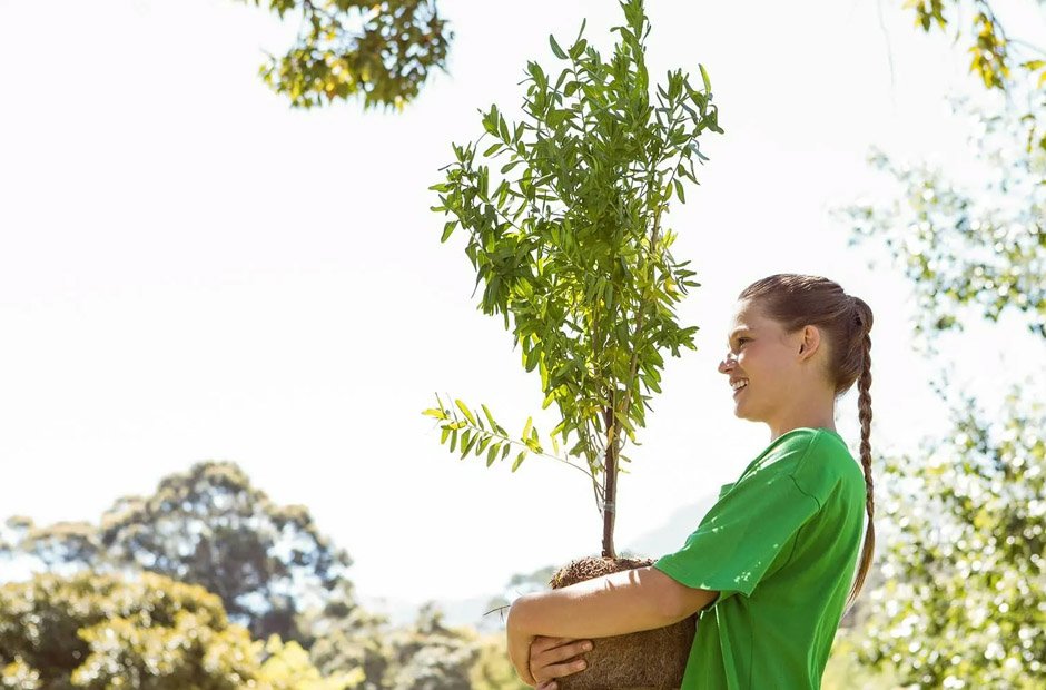 environmental responsibility in mind