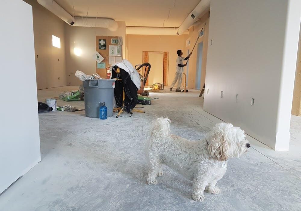 how to start planning a home renovation without feeling overwhelmed