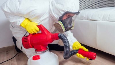 bed bug extermination innovations and challenges