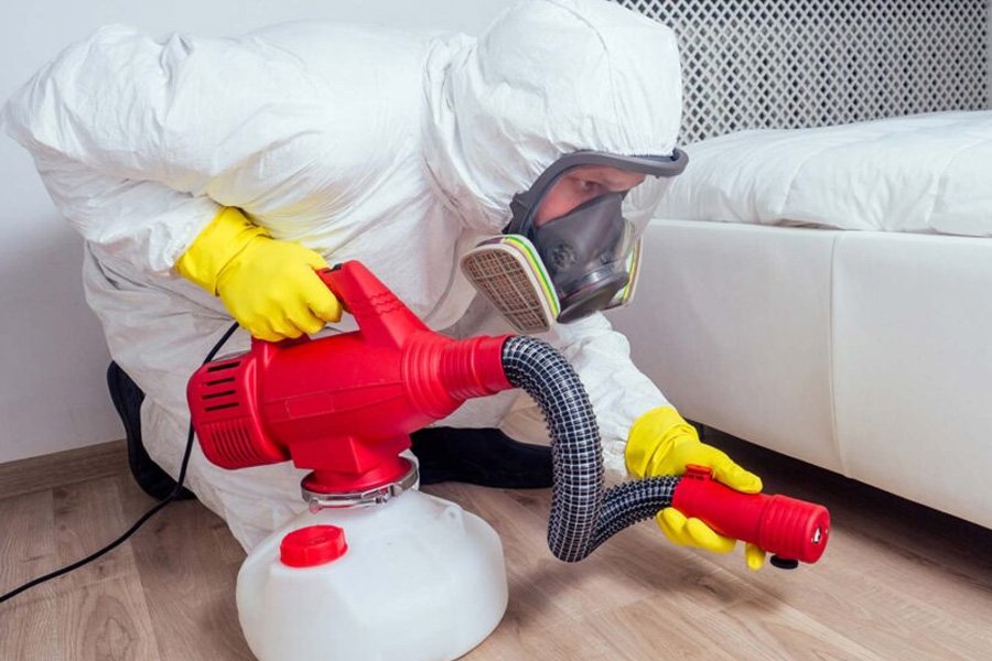 bed bug extermination innovations and challenges