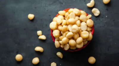 the cellular science behind macadamias and longevity