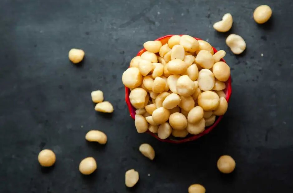 the cellular science behind macadamias and longevity