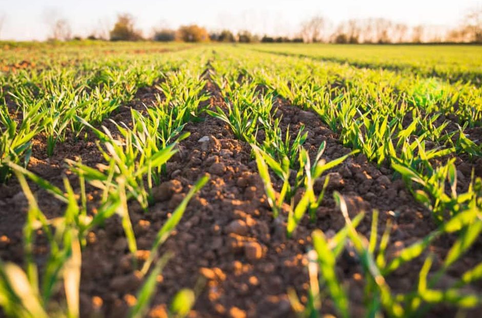 machinery is essential for australian business success