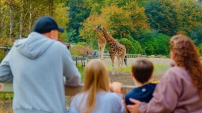 how to plan the ultimate family zoo