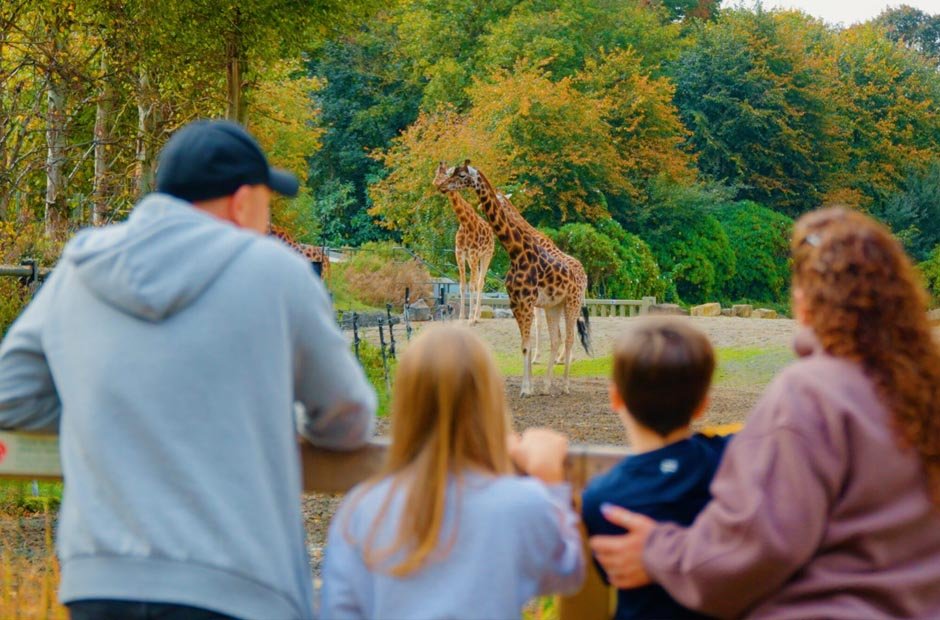 how to plan the ultimate family zoo