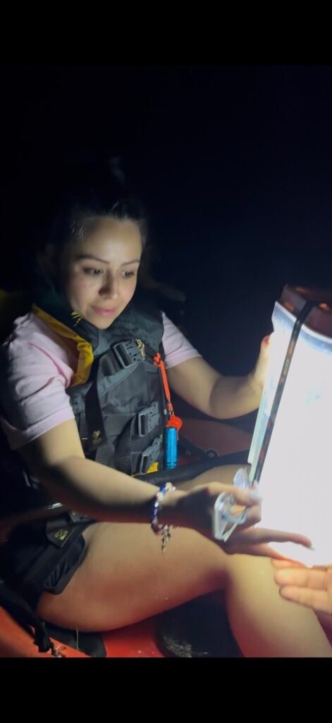 what to expect on bioluminescence kayaking tour